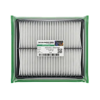 Filtro De Aire 400402-00076b | Doosan Develon | Original